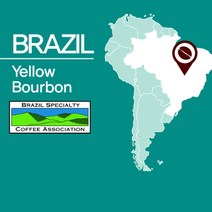 브라질 옐로우 버본 원두커피 1kg(SROC061FC0500A02) 당일로스팅, 단품, 추가구성:06.아주곱게분쇄/에스프레소머신(E)