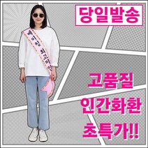 건강한줌 메이킹플라워 인간화환 취임 전역기념 결혼식이벤트 축하화환 미스코리아 핑크 특대형 0325 (5237718), [미스코리아 핑크 특대형]