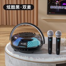마이크 휴대용 노래방 블루투스 무선, 블랙 마이크 2개