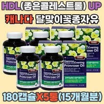 프로스타글란딘 오메가6 달맞이꽃 감마리놀렌산 균형 달맞이유 GLA HDL 혈행 피부 콜레스트롤 개선 불포화지방산 식물성 에스트로벤 에스트로겐 소포리 코시드 코사이드 캐나다 직수입 중년 여성 갱년기 40 50대, 2.2L