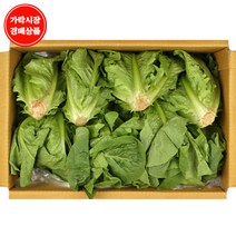 [가락시장 경매 식자재 채소] 통로메인 2kg내외, 1개