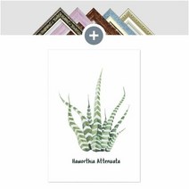 1300K 인테리어 캔버스 선인장액자 아테누아타 하월시아, 액자:모던액자 [화이트]