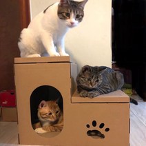 고양이집 빌라 골판지 고양이집 스탠드형 고양이 집게집게 발톱갈이 이중 고양이집 고양이집게 소파보호, 이중 사다리 고양이 집