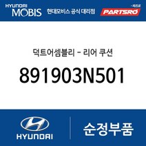 덕트(테드 블로워) 어셈블리 - 리어 쿠션 (891903N501) 뉴 에쿠스