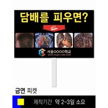스쿨컴퍼니(도매가격 인쇄쇼핑몰) #100 금연 피켓 [피켓 포맥스피켓 손잡이피켓 학교피켓 예방교육 캠페인 홍보 피켓제작], 2. 손잡이 대형 60x45cm