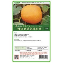 땅콩 호박 씨앗 10립 - 단호박 호박씨 호박씨앗 채소 야채 재배 주말 농장 텃밭, 06_다농_미국장원슈퍼호박(5립)