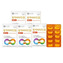 종근당건강 활력비타민B 800mg 300정 10개월분, 활력비타민B 5박스
