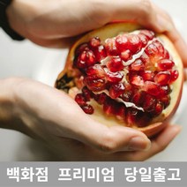 석류 2.5kg 석류즙 석류효능 여성호르몬음식 콜라겐 430259EA, 1, 본상품선택
