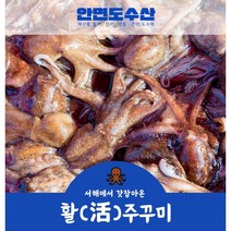안면도수산 서해 산지직송 활 쭈꾸미, 1kg
