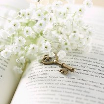 프래그런스오일 러브인화이트 (영국) 20ML 디퓨저 오일향수 소이캔들 05