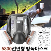 INSMA 6800전면형 방독면 방독마스크, 2개