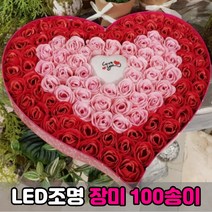 피넛무드 장미꽃 100송이 LED 꽃비누 기념일 선물, 핑크&레드 100송이