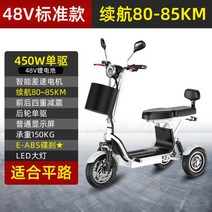 3륜 삼륜 전기자전거 세발 노인 성인 3륜전동스쿠터 전기바이크 어르신, 48V, 48V단일드라이브리튬배터리20A하나의키시작