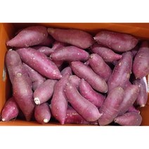 [GAP인증] 껍질째 먹는 영암산 황토 꿀고구마 한입크기(30~60g/개)/세척.살균+큐어링(숙성), 5kg