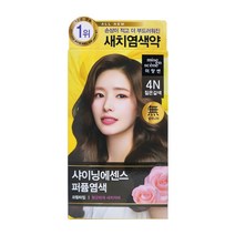 미쟝센 올뉴 샤이닝 에센스 염색약 4N 짙은갈색