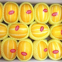 미스터팜팜 정품 참외 성주참외 5kg 특상 (12~20과내외) 농장직송, 1개, 5kg 특상(12~20과내외)_개별포장