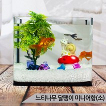 느티나무 달팽이 미니어항세트(소) 유리 수족관세트, 단품