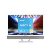 삼성전자 올인원 PC DM530ADA-L24AW (인텔 펜티엄 11세대 7505 60.5cm), WIN10 home, RAM 4GB + 4GB, SSD 256GB + HDD 1TB