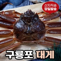 [당일발송] 영덕대게 생물 자숙 포항 구룡포 국내산, 7.영덕대게 소 (9.1~9.5cm) 10미