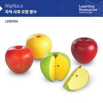 [노올] STEAM 감각 발달 교구 자석사과모양분수