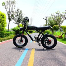 전기자전거 강력한 팻 타이어 스노우 비치 다운 힐 산악 오토바이, 1.Rear Motor 1000W20Ah - 7