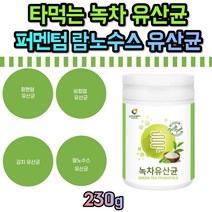 타먹는 녹차 유산균 분말 프로바이오틱스 균주 타먹는 우유 요거트 쿠키 레시피활용 퍼멘텀 비피덤 람노수스 플란타 중년 갱년기 20대 30대 40대 50대 60대 70대 여자 남자