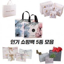 고급 무지 쇼핑백 종이쇼핑 종이 부직포 선물 가방 5종, 부직포쇼핑백B형