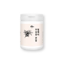 빌베리 추출 분말 가루 100% 빌베리 주스 파우더 효능 야생빌베리 안토시아닌 눈에 좋은 음식 눈건강 식품 폴란드 빌배리 추천