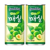 썬키스트 매실 175ml x, 60캔