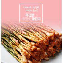 종말이푸드 전라도 여수돌산 파김치 1kg 국내산 갓김치 곽진영