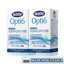 [락토플로어] [락토플러] 옵티6 불가리아 100억 유산균 60캡슐 x 2개 (총 4개월, 상세 설명 참조, 상세 설명 참조