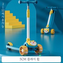 PYHO 아동용 접이식 발광 킥보드 안전 광폭휠타이어 킥보드, 그린