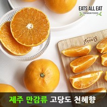 이츠올릿 제주도 고당도 감귤 천혜향 3kg 제주 하우스 귤 택배 선물 세트, 레드향＋선물가방_5kg(특대_8-16과)