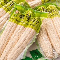 냉동 괴산대학찰옥수수, 30개, 찐냉동 최상품 특괴산대학찰옥수수_아이스박스