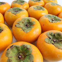 프레시로드 산지직송 창원 북면 단감 5kg2733과