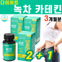 녹차 추출물 카테킨 카태킨 카텍킨 다이어트 체지방 혈중 콜레스테롤 개선 체중 판토텐산 비타민C 레몬밤 해조칼슘 보이차 추출물 셀레늄 타피오카 전분 폴리덱스트로스 말토덱스트린, 1000mg, 3BOX