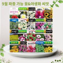솔림텃밭몰 9월 파종 가능 꽃 야생화 씨앗 모음, 26. 대엽민들레 1000립, 1개