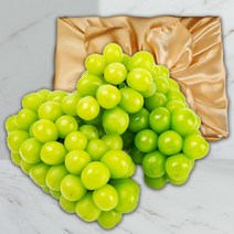 샤인머스켓 선물세트 2kg 1kg 씨없는 포도 청포도 가정용 선물 선물용 명절 추석 과일선물세트, 선택2.가정용2KG