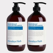 [1+1] 부케가르니 나드 지성 두피 대용량 쿨샴푸 쿨링샴푸 멘톨 민트 두피열 900ml, 쿨링샴푸 900ml 1+1