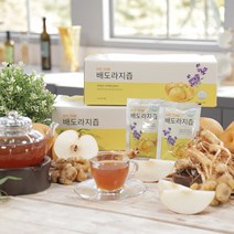 [자연식품]배도라지즙/국내산 총120팩 나주배 100ml*1팩, 4개