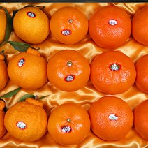 고급 레드향선물세트 천혜향 레드향 한라봉선물세트, 고급 레드향 선물 특과5kg