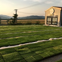 [마을기업] 친환경 무농약 햇보리쌀 4종, 1팩, 무농약 자수정찰보리쌀(자맥) 1kg