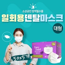 소상공인방역물품지원금 대형덴탈마스크 100%정부지원 친환경 이쁜 헬스 일반 성인 3중 국내 마스크 구입 업체 지원 방역장비 게이트 정책지원금 사용 사이즈 대형 큰 덴탈 추천 MB