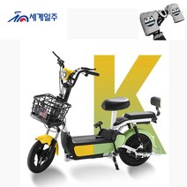 세계일주 성인 전기 자전거 48V 12A 40-55km 주행가능거리 여성용 전기자전거 CK2, 에로