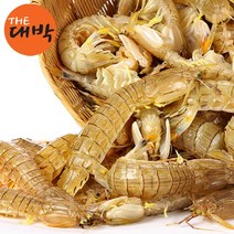 2023년 당일조업 제철 자연산 활 갯가재 1kg 생물 쏙 털치, 1box, 생물 갯가재 2kg