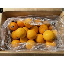 썬키스트 오렌지 네이블 5kg내외 24개입 중과 개당200g내외 오렌지가격, 단품