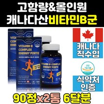 비타민 B 티아민 피리독신 판토텐산 리보플라빈 2통 고함량 컴플렉스 메가도스 직구 b1 고농축 복합체 b군 b2 b5 b b12 캐나다 12 b9 100 b6 고용량 영양제 효능