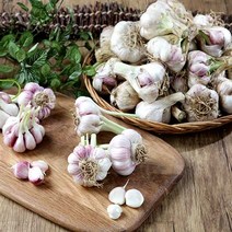 [산지직송] 23년산 고흥 통마늘 반접/ 한접 (중 대 특), 1개, 고흥 햇마늘 한접(100개) (대)