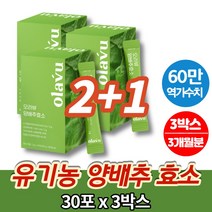 국내산 유기농 양배추 효소 동결건조 약국 코스트코 고역가수치 역가수치 높은효소 락토바실러스균 곡물 혼합 가루 분말 파우더 스틱 30포, 3박스