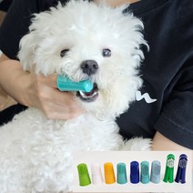 강아지 손가락 칫솔 핑거칫솔 컬러 1p, 1.손가락칫솔_짧은모(랜덤발송)